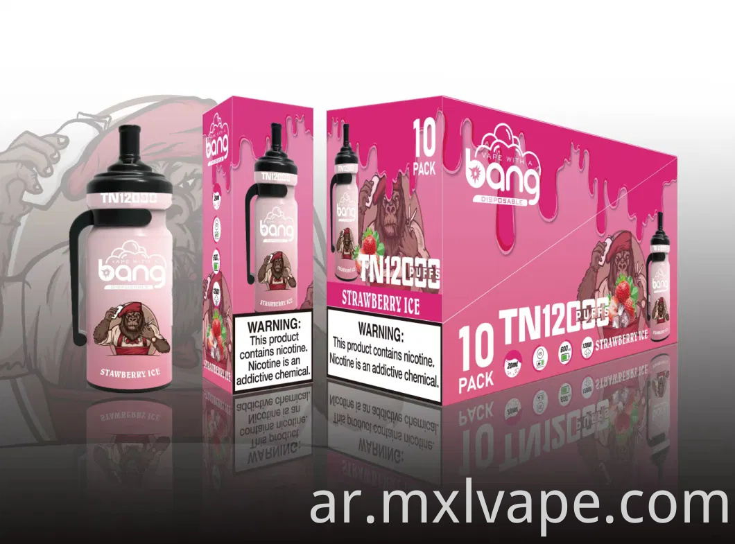 الصين بالجملة المخصصة المخصصة للتصرف Vaper Pen Bang TN 12000 نفخة في الأسهم